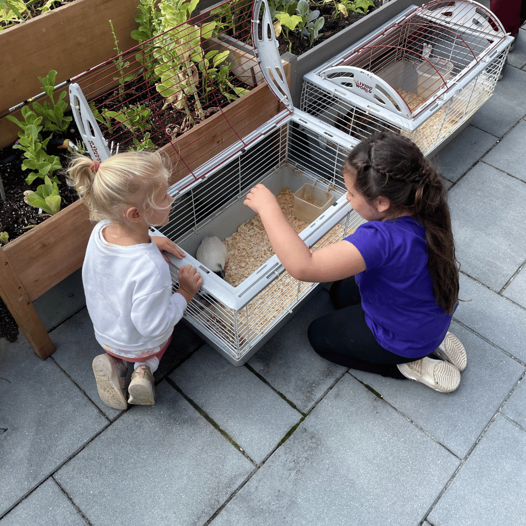 A petting zoo was featured at the Grandparents Day celebration at The Bristal at Garden City.